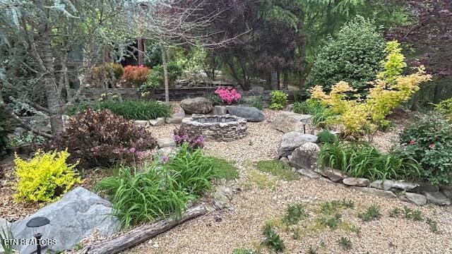 1309 Licklog Hollow Rd, Sevierville, TN 37876 - view of yard