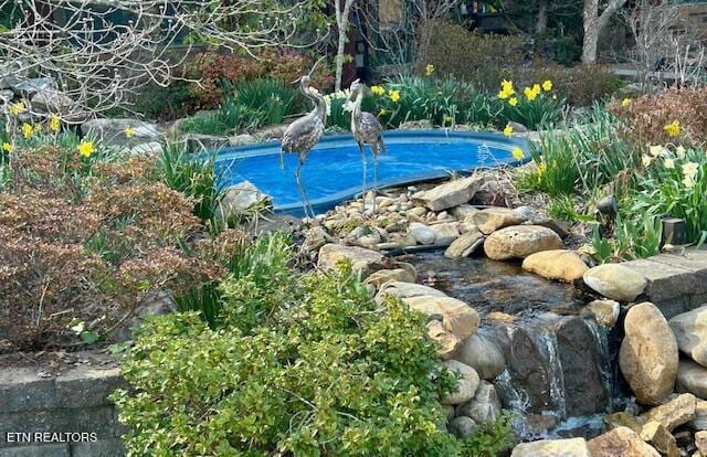 1309 Licklog Hollow Rd, Sevierville, TN 37876 - view of swimming pool with a pool