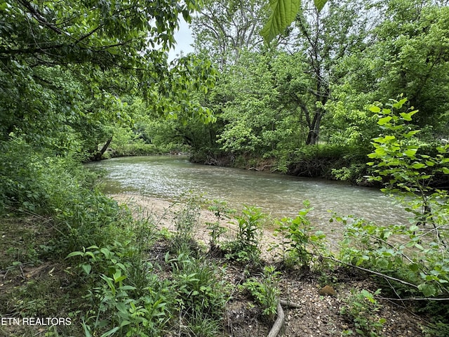 1309 Licklog Hollow Rd, Sevierville, TN 37876 - water view