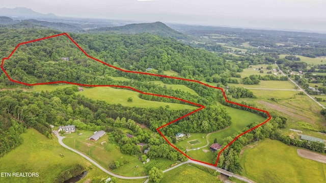 1309 Licklog Hollow Rd, Sevierville, TN 37876 - aerial view of property's location featuring property boundaries highlighted, a mountain backdrop, and a heavily wooded area