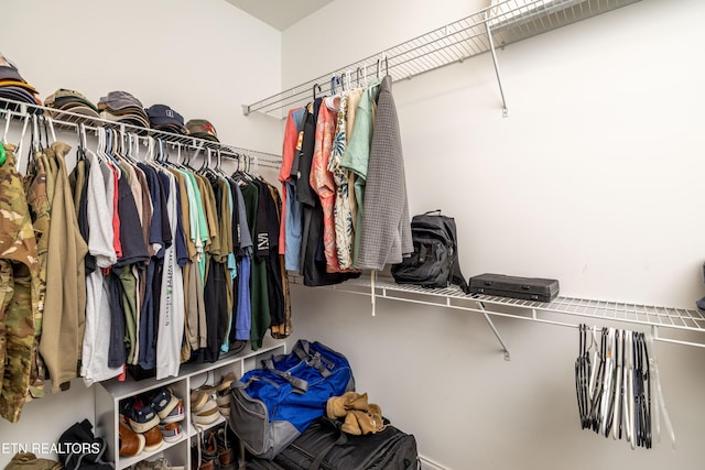 1227 Branch Creek Ln, Maryville, TN 37801 - view of walk in closet