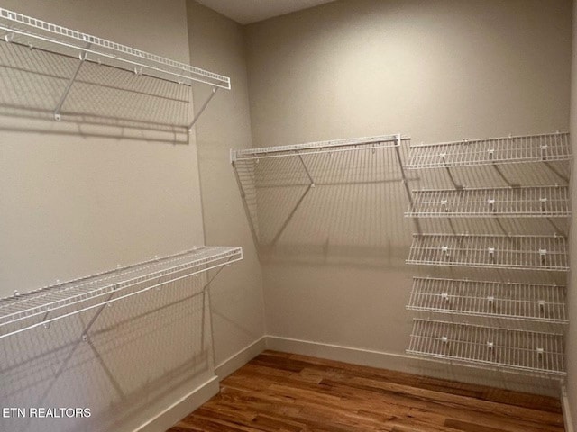 110 Stone Rd, Knoxville, TN 37920 - walk in closet with wood finished floors