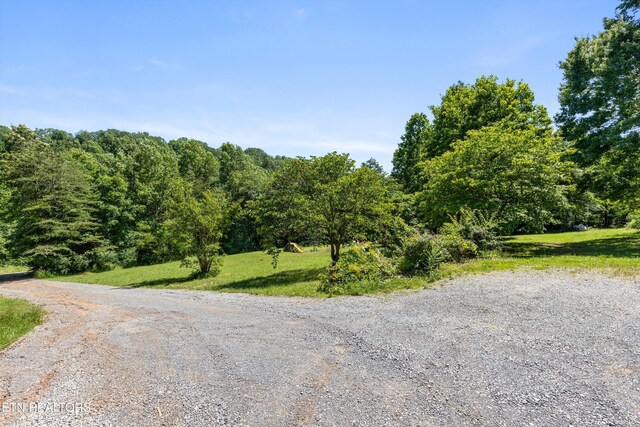 708 Butler Mill Rd, Maryville, TN 37803 - photo 30