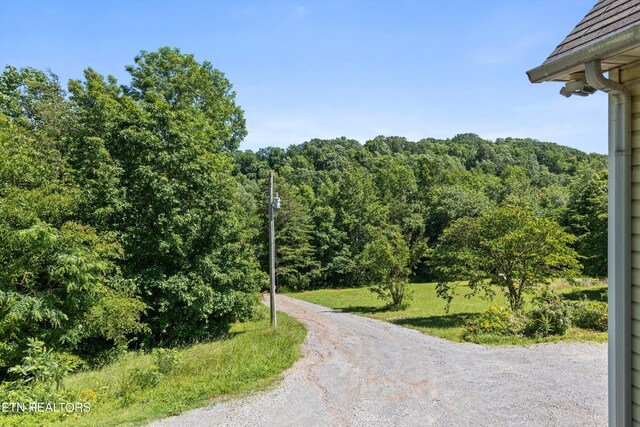 708 Butler Mill Rd, Maryville, TN 37803 - photo 31