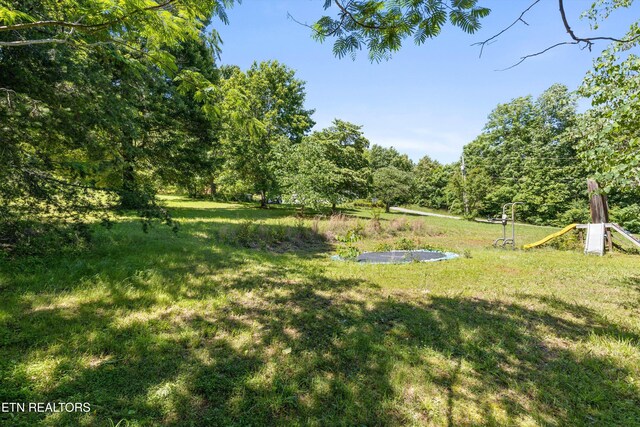 708 Butler Mill Rd, Maryville, TN 37803 - photo 33