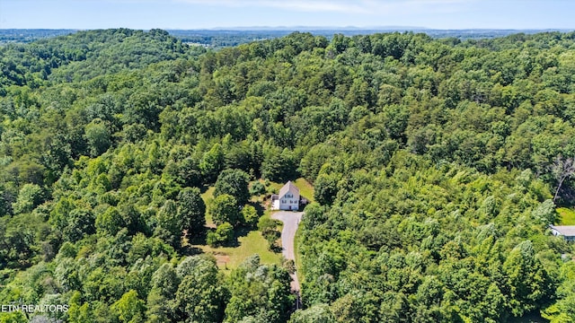 708 Butler Mill Rd, Maryville, TN 37803 - photo 38