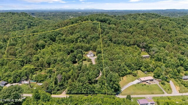 708 Butler Mill Rd, Maryville, TN 37803 - photo 41