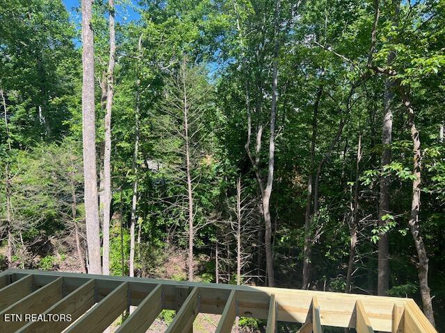 405 Laurel Trace Rd, Townsend, TN 37882 - view of nature