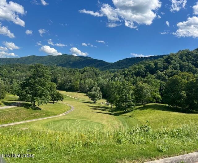 405 Laurel Trace Rd, Townsend, TN 37882 - view of mountain background featuring a heavily wooded area and a golf course