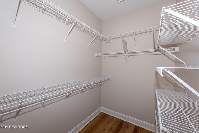 210 Oologila Pl, Loudon, TN 37774 - walk in closet featuring wood finished floors