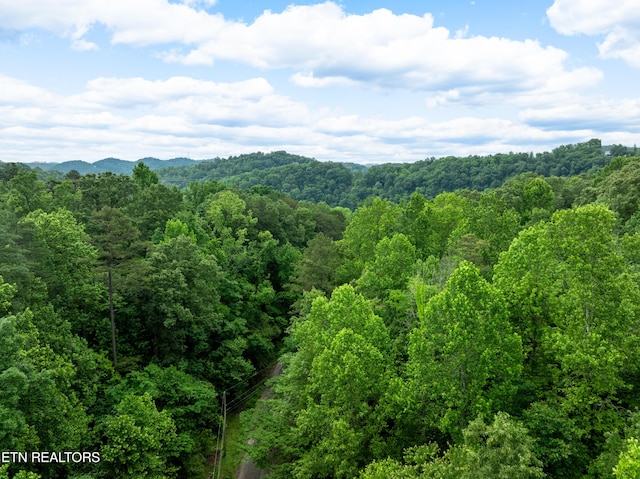 LOT26 Mulberry Rd, Harriman, TN 37748