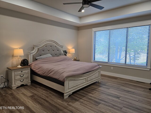 708 Lakeside Ct, Dandridge, TN 37725 - bedroom with wood finished floors, baseboards, a raised ceiling, and a ceiling fan