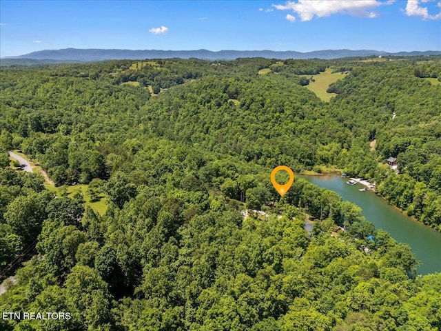 LOT6 Shanghai Landing Ln, Lafollette, TN 37766