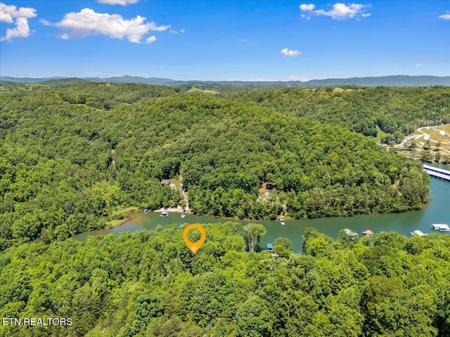 LOT6 Shanghai Landing Ln, Lafollette, TN 37766