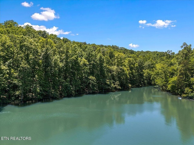 LOT6 Shanghai Landing Ln, Lafollette, TN 37766