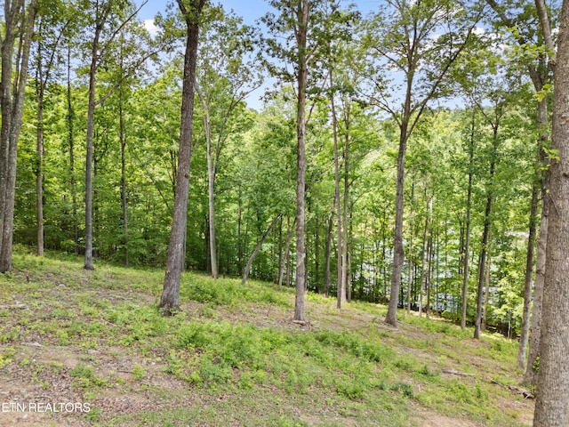 LOT6 Shanghai Landing Ln, Lafollette, TN 37766