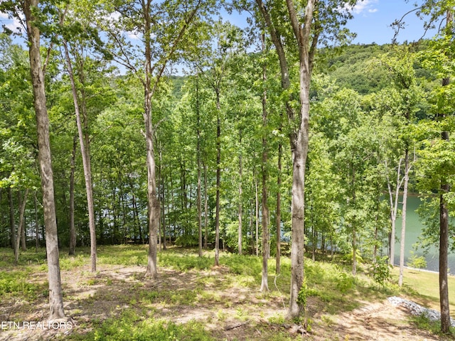 LOT6 Shanghai Landing Ln, Lafollette, TN 37766