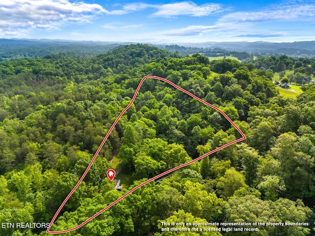 9217 Kodak Rd, Kodak, TN 37764 - aerial overview of property's location with a forest, property boundaries highlighted, and a mountain backdrop