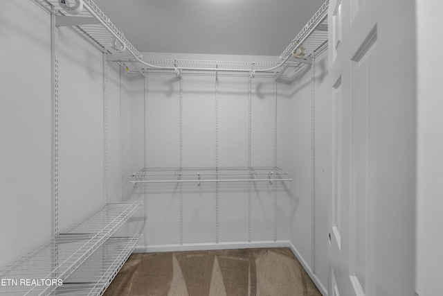 4914 Circle Rd, Corryton, TN 37721 - walk in closet featuring carpet
