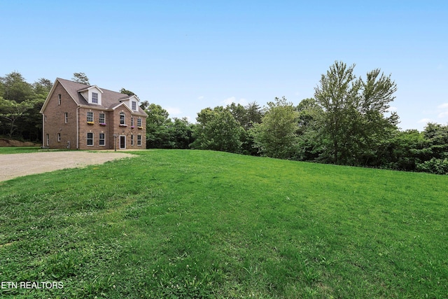 4914 Circle Rd, Corryton, TN 37721 - view of grassy yard
