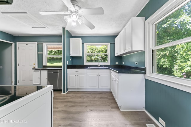 104 Carlisle Ln, Oak Ridge, TN 37830 - kitchen featuring a sink, dishwasher, healthy amount of natural light, a textured ceiling, and white cabinetry