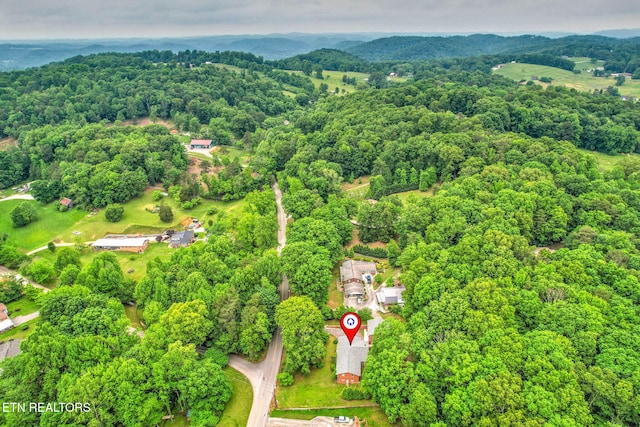 4502 York Rd, Knoxville, TN 37938 - photo 56