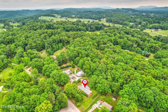 4502 York Rd, Knoxville, TN 37938 - photo 49