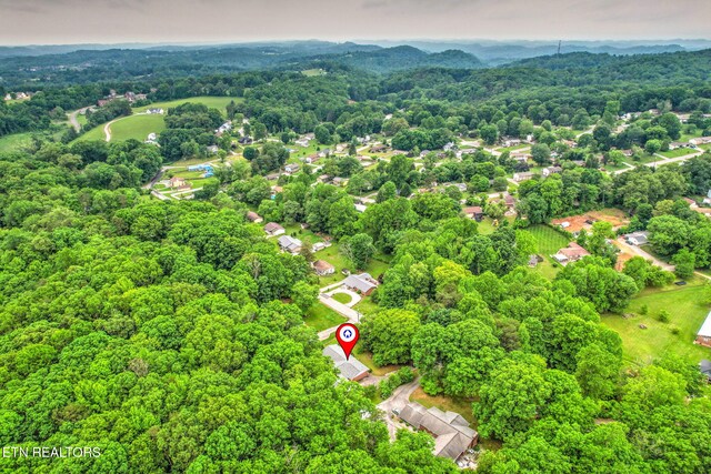 4502 York Rd, Knoxville, TN 37938 - photo 55