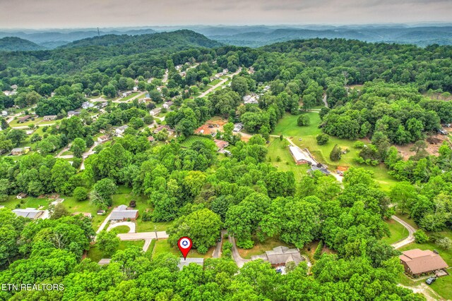 4502 York Rd, Knoxville, TN 37938 - photo 54