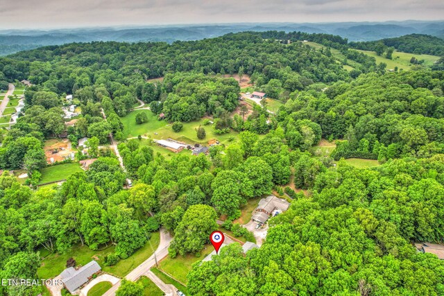 4502 York Rd, Knoxville, TN 37938 - photo 53