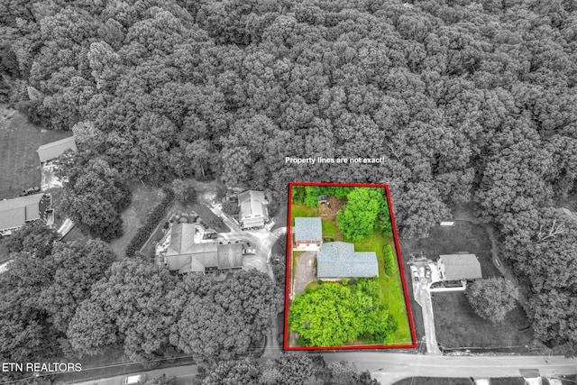 4502 York Rd, Knoxville, TN 37938 - photo 57