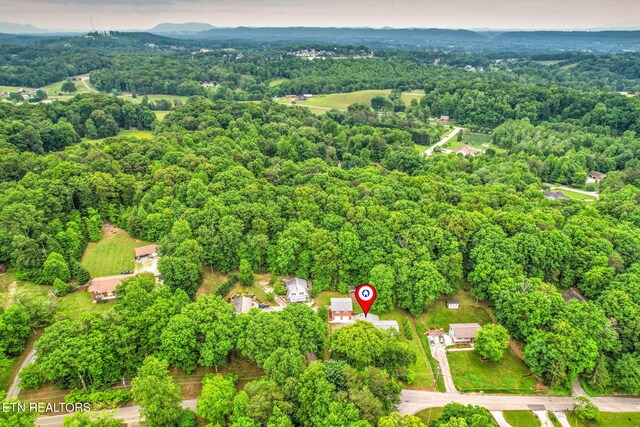 4502 York Rd, Knoxville, TN 37938 - photo 52
