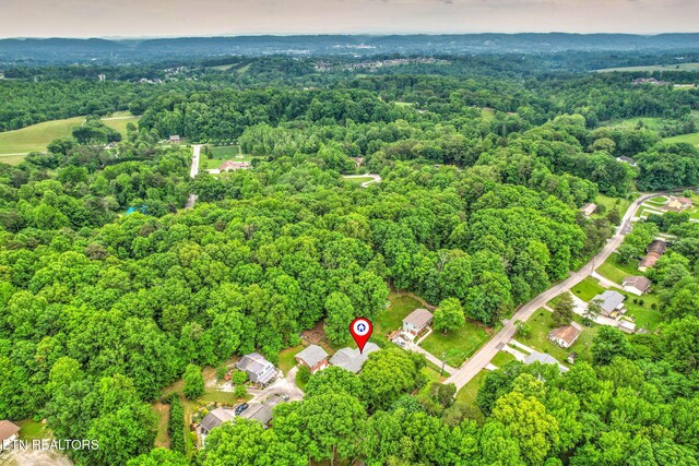 4502 York Rd, Knoxville, TN 37938 - photo 51