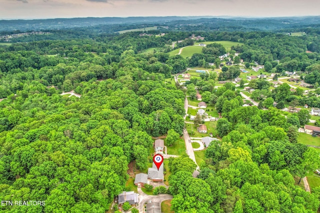 4502 York Rd, Knoxville, TN 37938 - photo 50