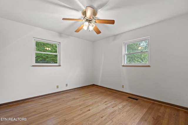 4502 York Rd, Knoxville, TN 37938 - photo 21