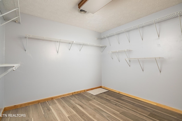 3305 Leonard Huskey Ln, Pigeon Forge, TN 37863 - spacious closet featuring light wood-style flooring