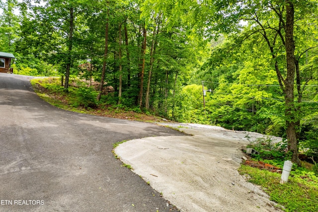3305 Leonard Huskey Ln, Pigeon Forge, TN 37863 - view of street featuring a wooded view