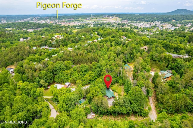 3305 Leonard Huskey Ln, Pigeon Forge, TN 37863 - bird's eye view