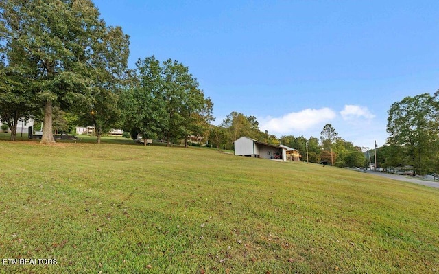 645 Blue Springs Rd, Speedwell, TN 37870 - view of green lawn