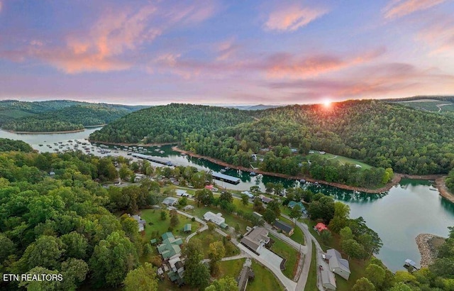 645 Blue Springs Rd, Speedwell, TN 37870 - aerial view at dusk of a water view and a view of trees