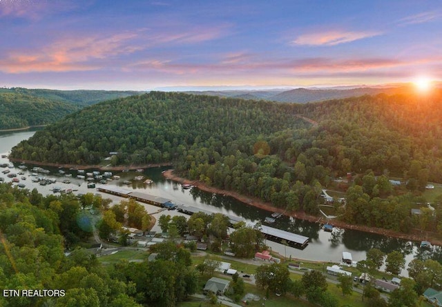 645 Blue Springs Rd, Speedwell, TN 37870 - aerial view of a forest and a nearby body of water