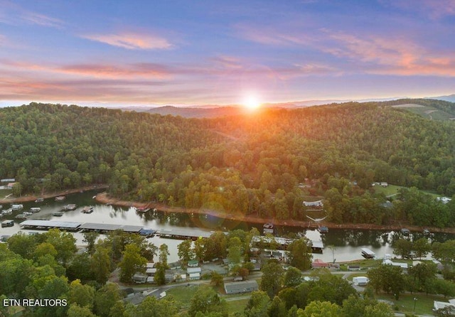 645 Blue Springs Rd, Speedwell, TN 37870 - aerial view at dusk of a view of trees and a water view