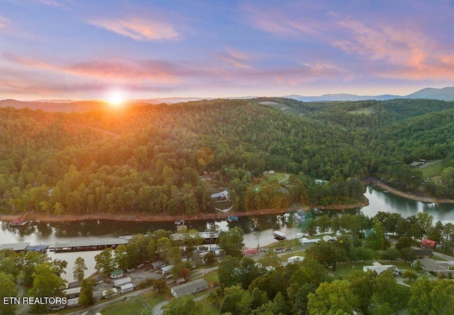 645 Blue Springs Rd, Speedwell, TN 37870 - drone / aerial view of a forest and a water and mountain view