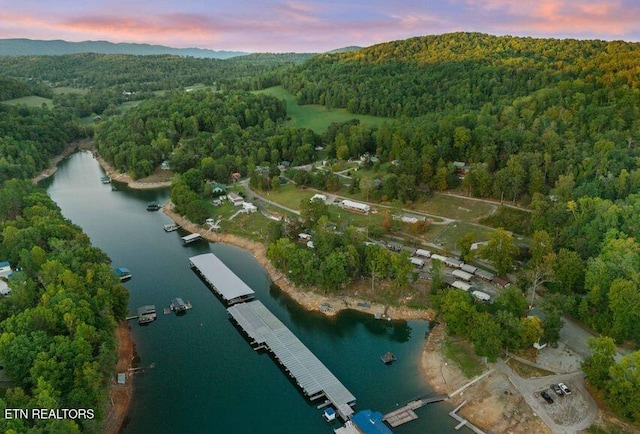 645 Blue Springs Rd, Speedwell, TN 37870 - aerial overview of property's location with a heavily wooded area and a large body of water