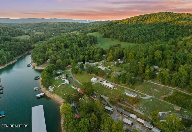 645 Blue Springs Rd, Speedwell, TN 37870 - aerial view at dusk of a forest view and a water view