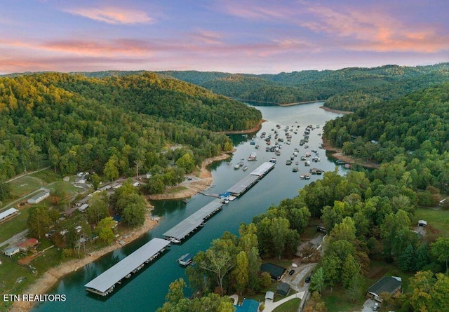 645 Blue Springs Rd, Speedwell, TN 37870 - aerial view at dusk of a wooded view and a water view