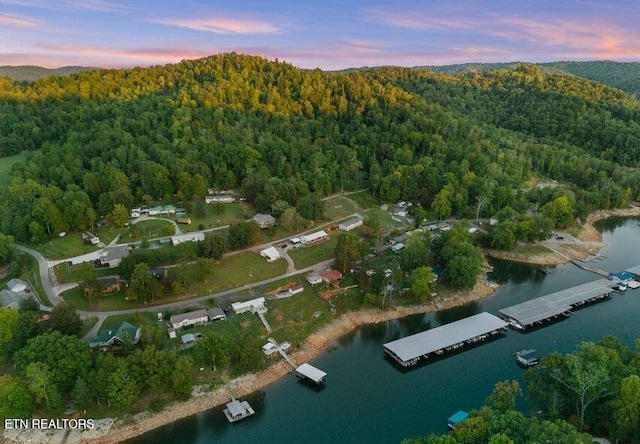 645 Blue Springs Rd, Speedwell, TN 37870 - aerial view at dusk of a forest view and a water view
