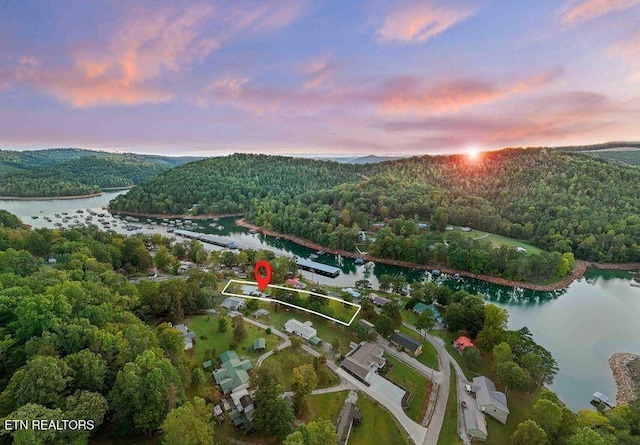 645 Blue Springs Rd, Speedwell, TN 37870 - aerial view at dusk of a water view and a view of trees