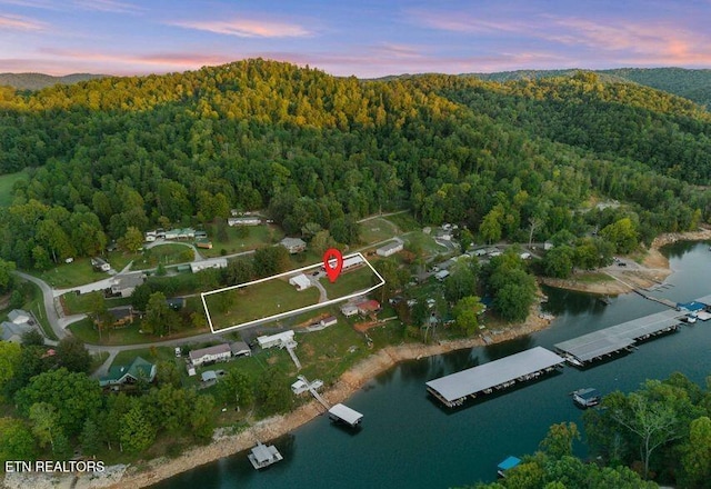 645 Blue Springs Rd, Speedwell, TN 37870 - aerial overview of property's location with a heavily wooded area and a large body of water