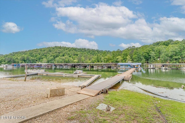 645 Blue Springs Rd, Speedwell, TN 37870 - dock featuring a forest view and a water view